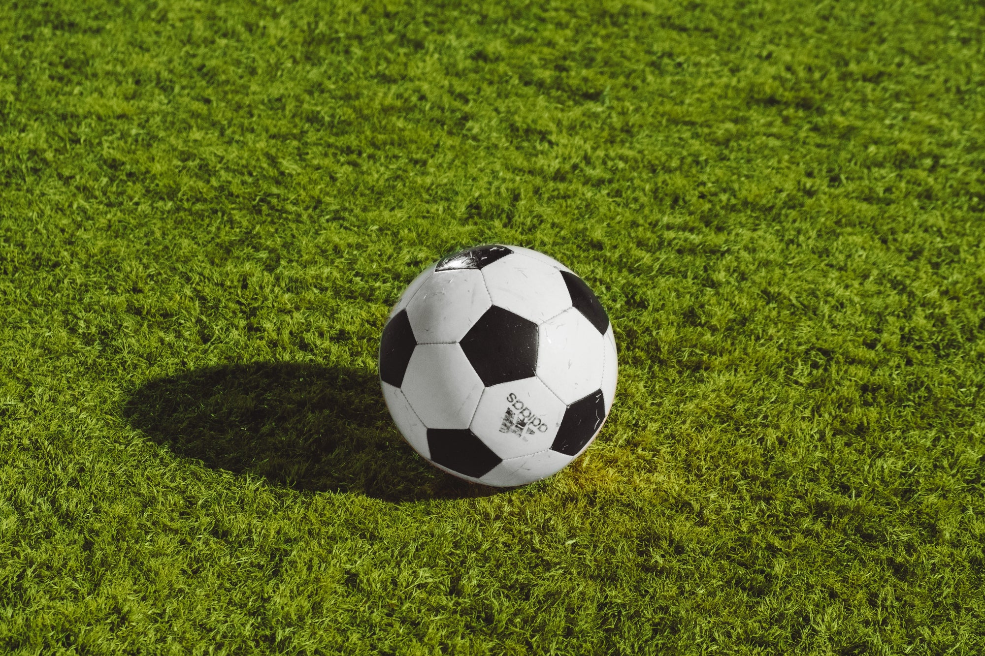 Top 5 Things To Look For When Choosing A Soccer Ball
