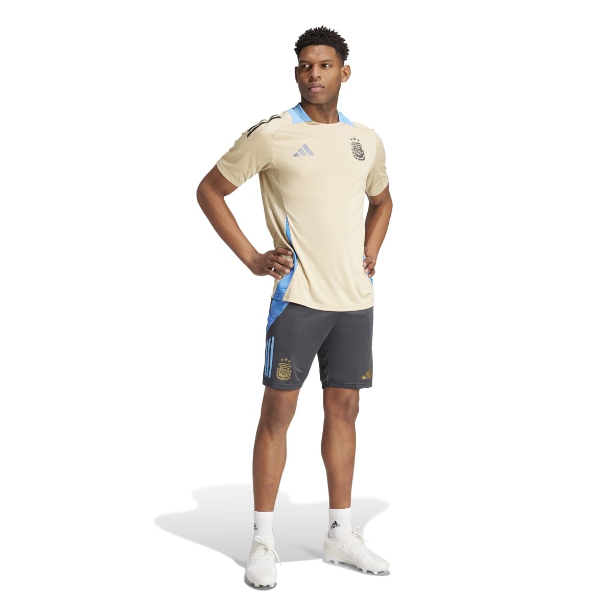 adidas Men's Argentina Tiro 24 Competition Training Jersey | IQ0816 Jersey Adidas 