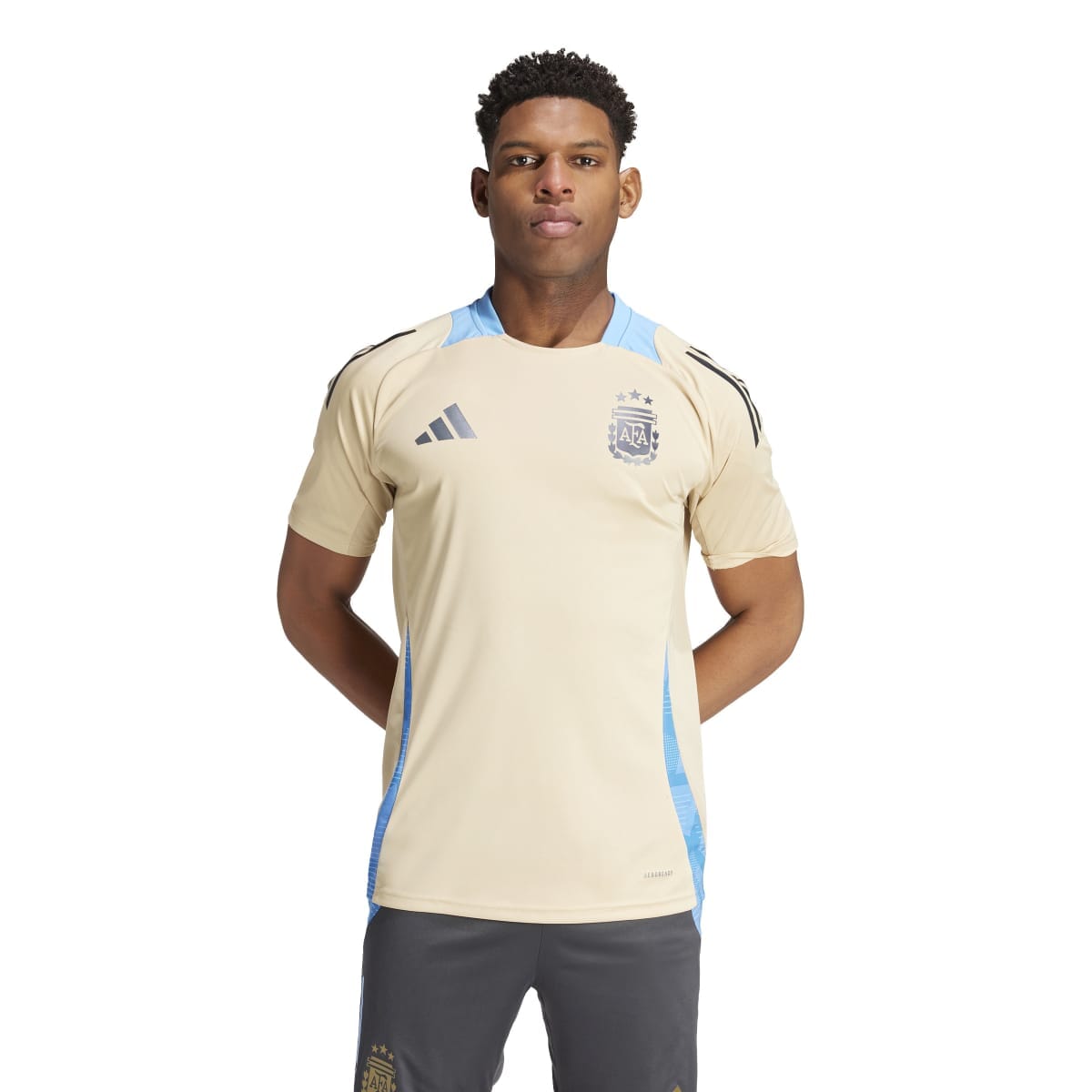 adidas Men's Argentina Tiro 24 Competition Training Jersey | IQ0816 Jersey Adidas Adult Small Beige/Blue 