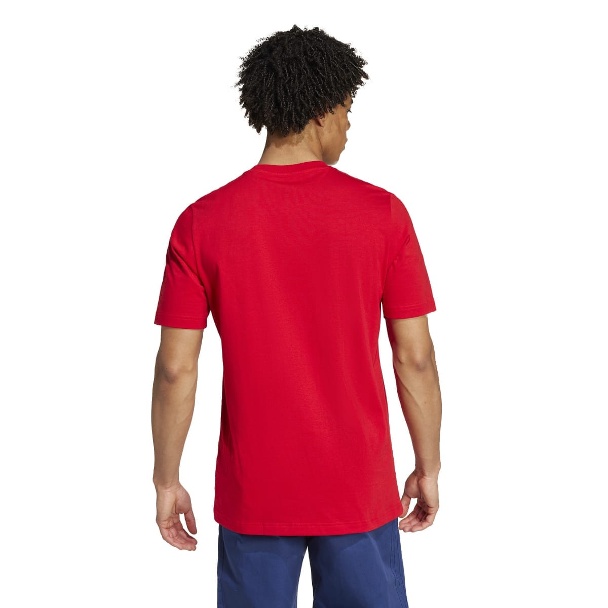 adidas Men's Arsenal DNA Graphic T-Shirt | IS6506 Apparel Adidas 