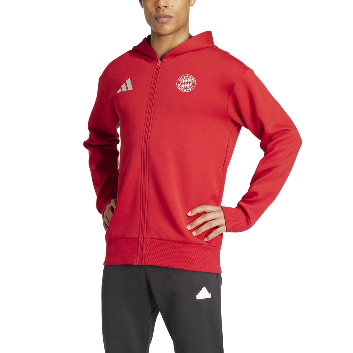 adidas Men's FC Bayern Anthem Jacket | IT4121 - Goal Kick Soccer