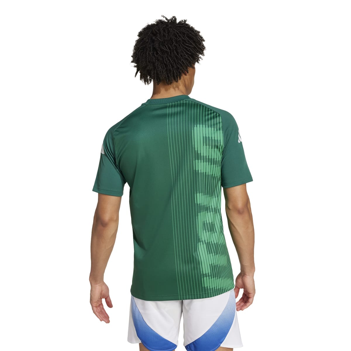 adidas Men's Italy Pre-Match Jersey | IW7950 Jersey Adidas 