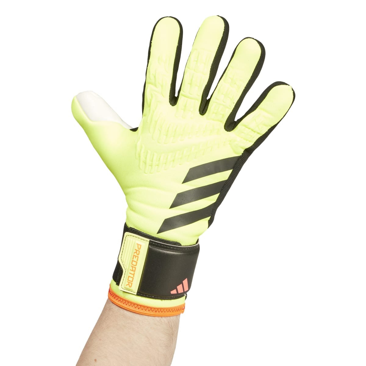 adidas Predator League Goalkeeper Gloves | IN1601 Goalkeeper Gloves Adidas 