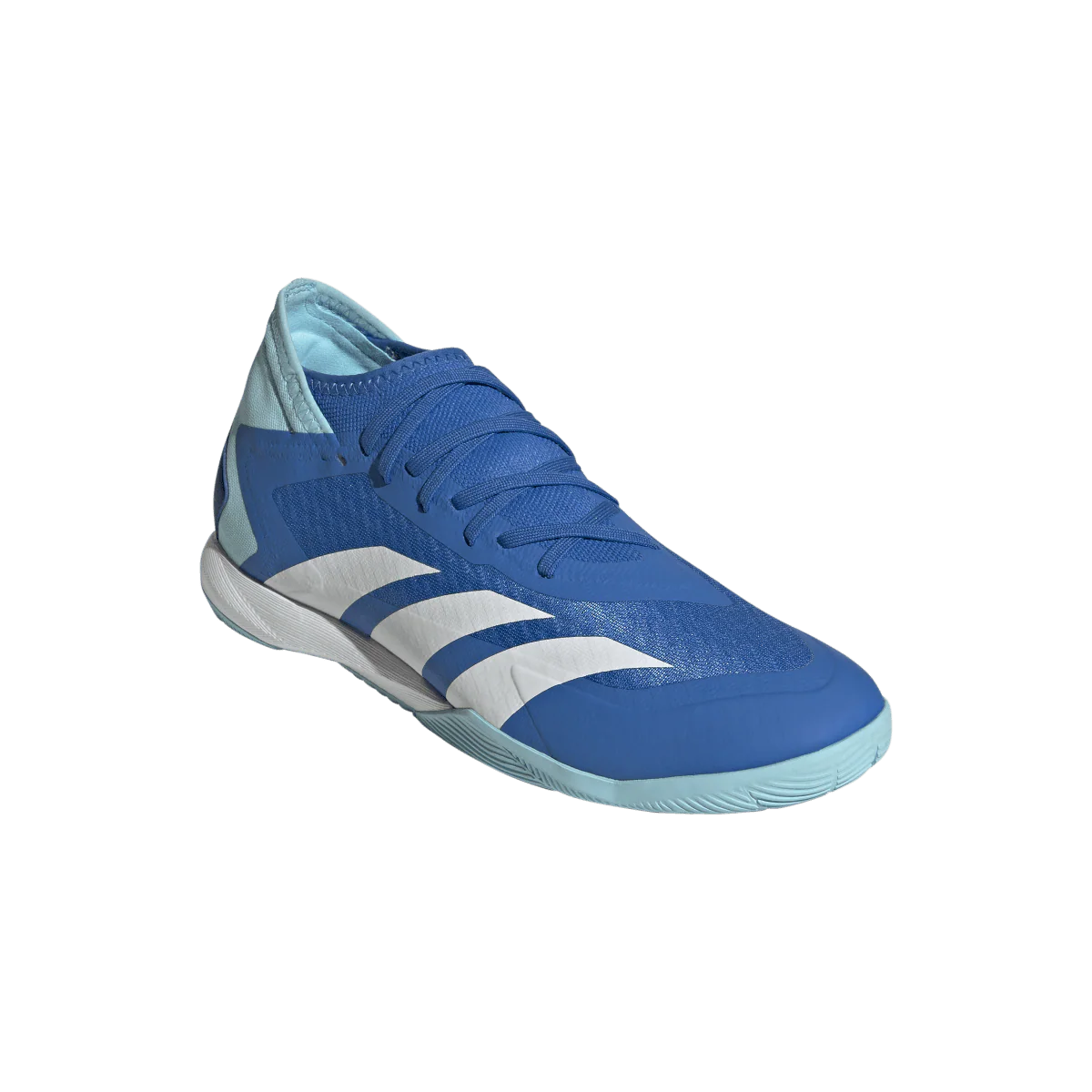 adidas Unisex Predator Accuracy.3 Indoor Shoes | GY9991