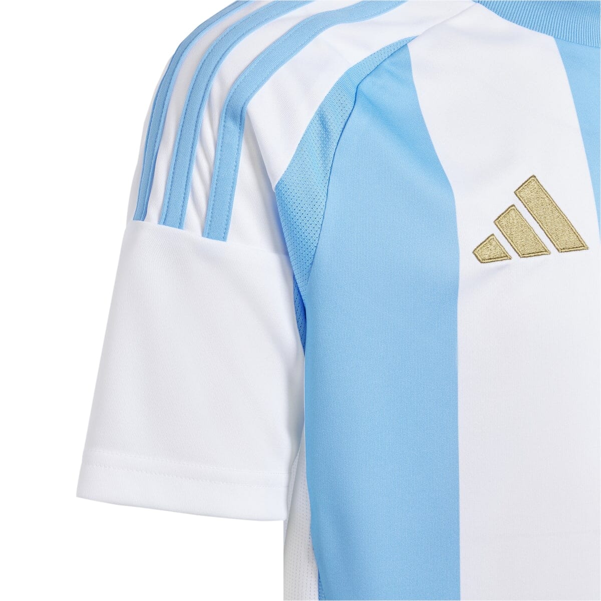 adidas Youth Argentina 24 Home Jersey | IP8387 Jersey Adidas 