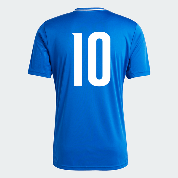 Cedar Valley 25-27 Uniforms | Adidas Campeon 25 - Royal Jersey