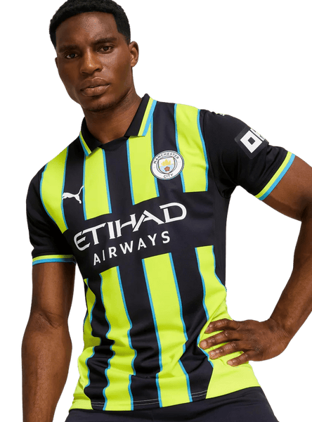 け*こ様 PUMA Manchester City ユニフォーム 2枚セット puma-mens-manchester-city-2425