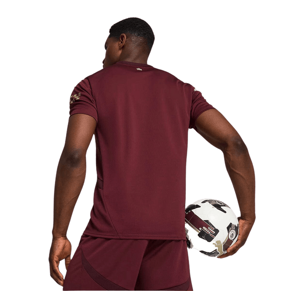 Puma Men's Manchester City 24/25 Replica Third Soccer Jersey