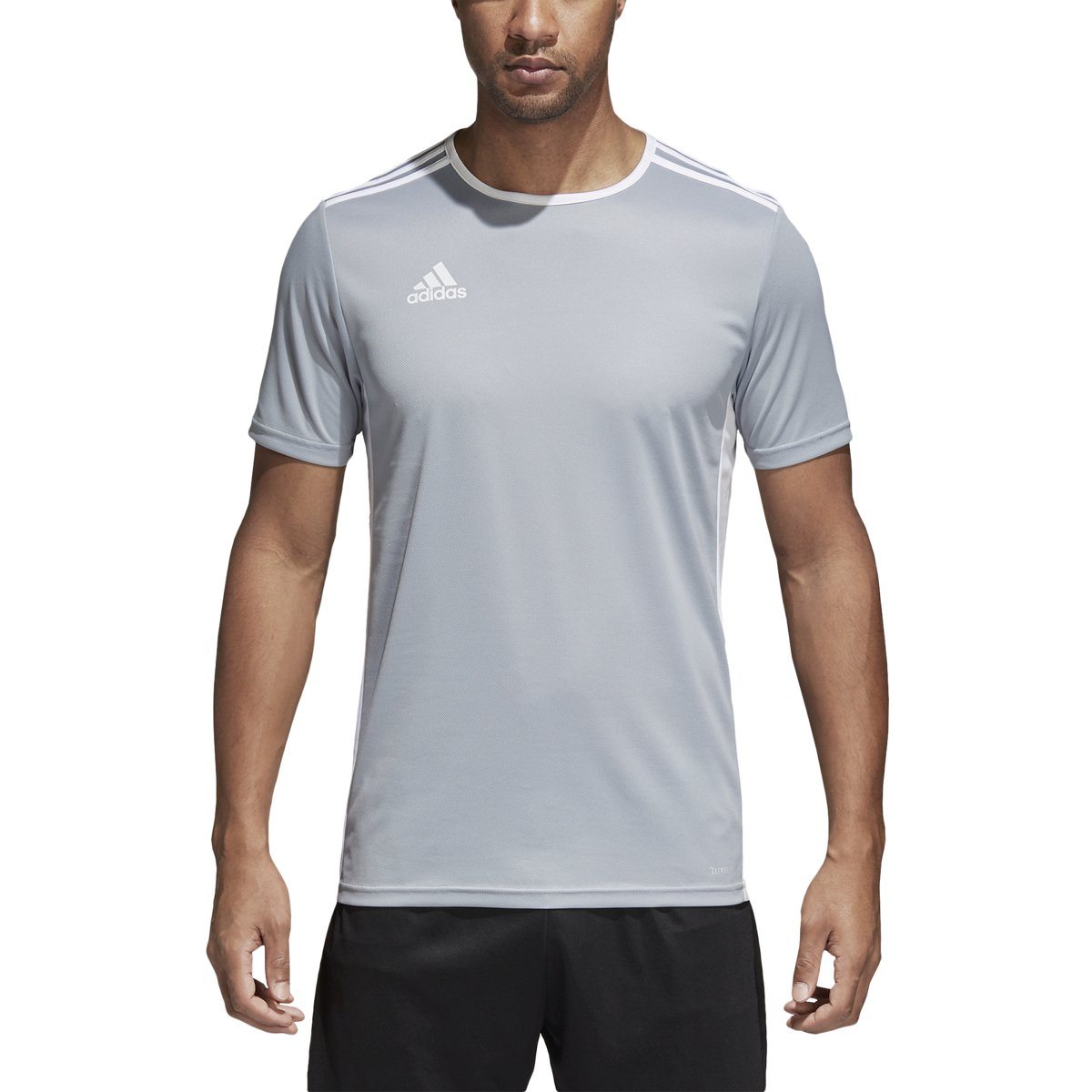 adidas Men's Entrada 18 Jersey | CD8382 Soccer Apparel adidas Adult X-Small light grey/white 