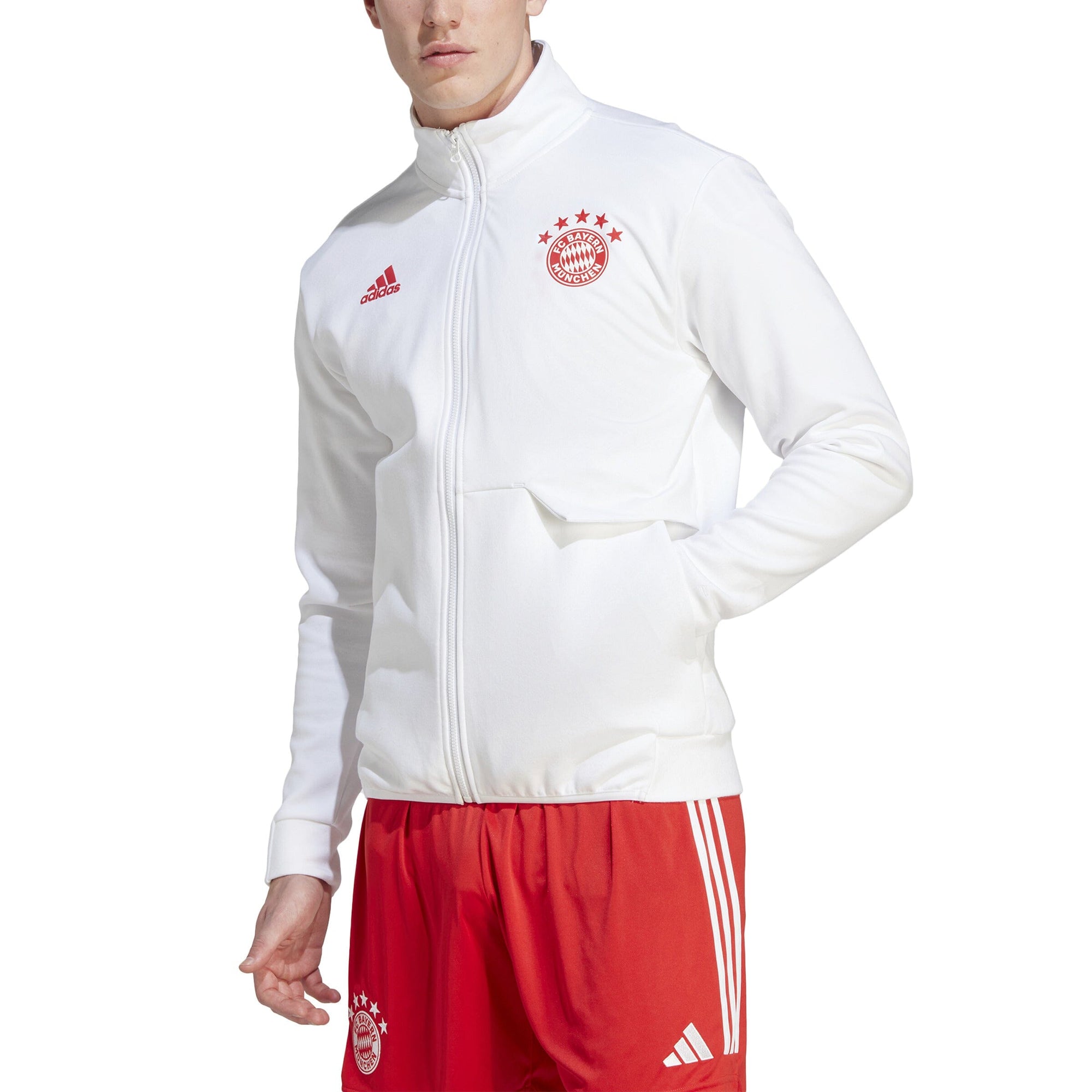 adidas Men's FC Bayern Anthem Jacket | HY3276 Jacket Adidas 
