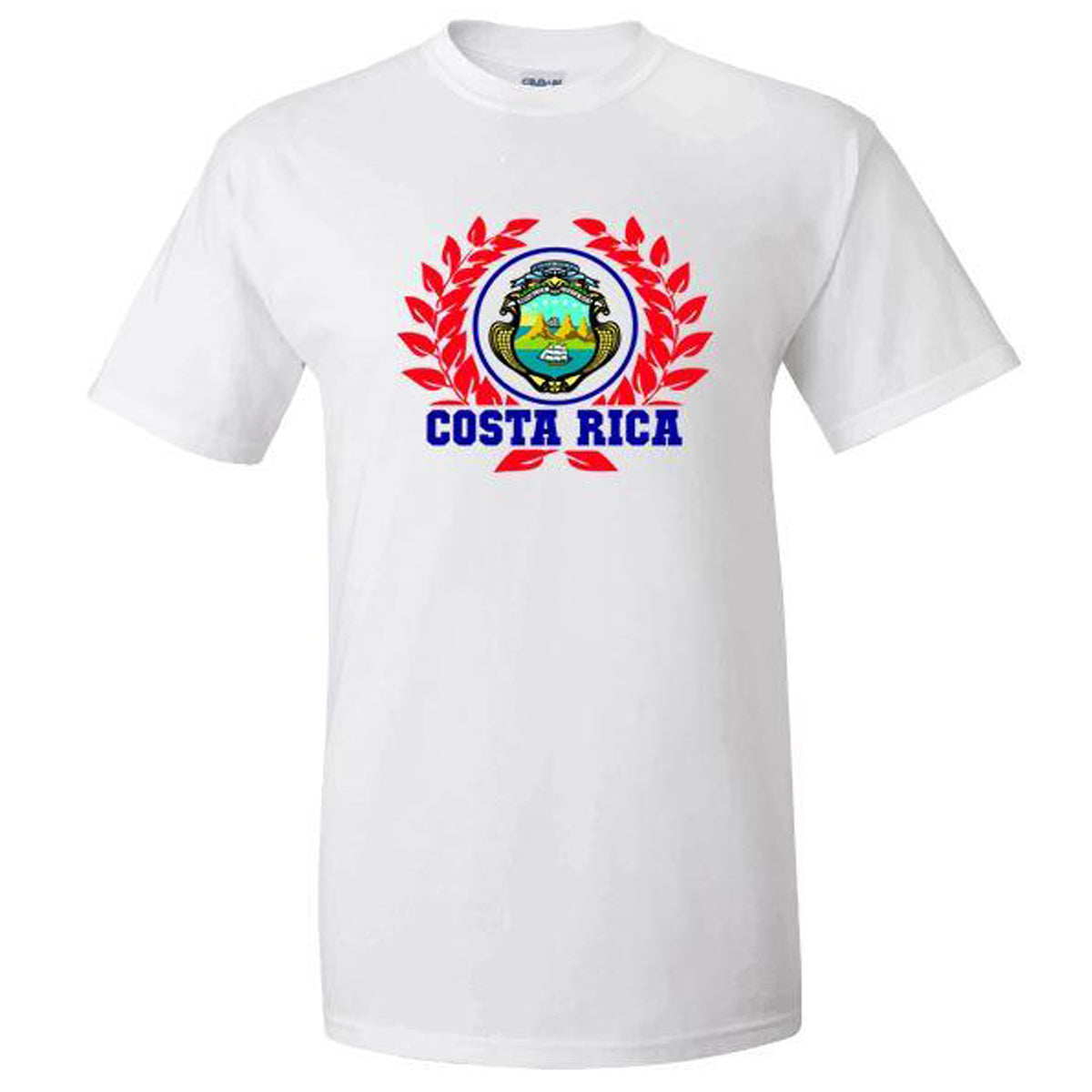Costa Rica World Cup 2022 Spirit Tee | Various Designs Shirt 411 Leaves Youth Medium Youth